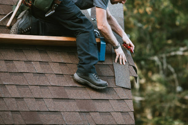Best Roof Repair Services  in Coshocton, OH